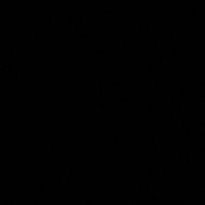 Meet your Posher, Lexis